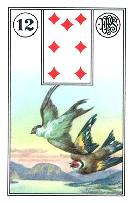 Les Oiseaux